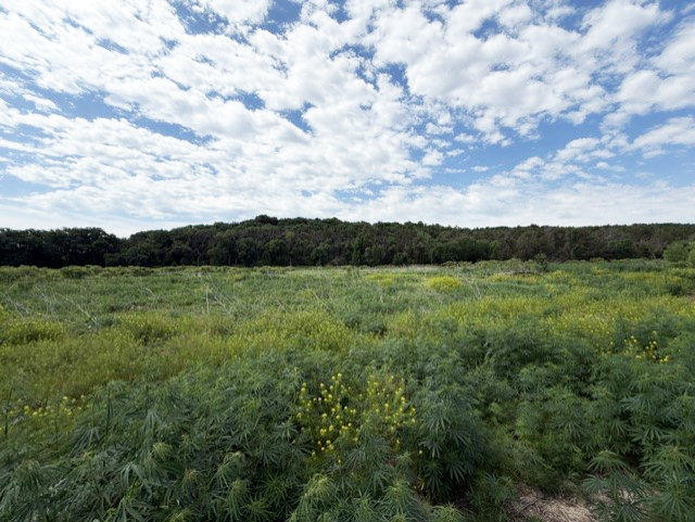 Holt County Nebraska Hunting land for sale