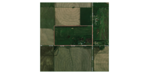 80 Acres, Great Calving Location