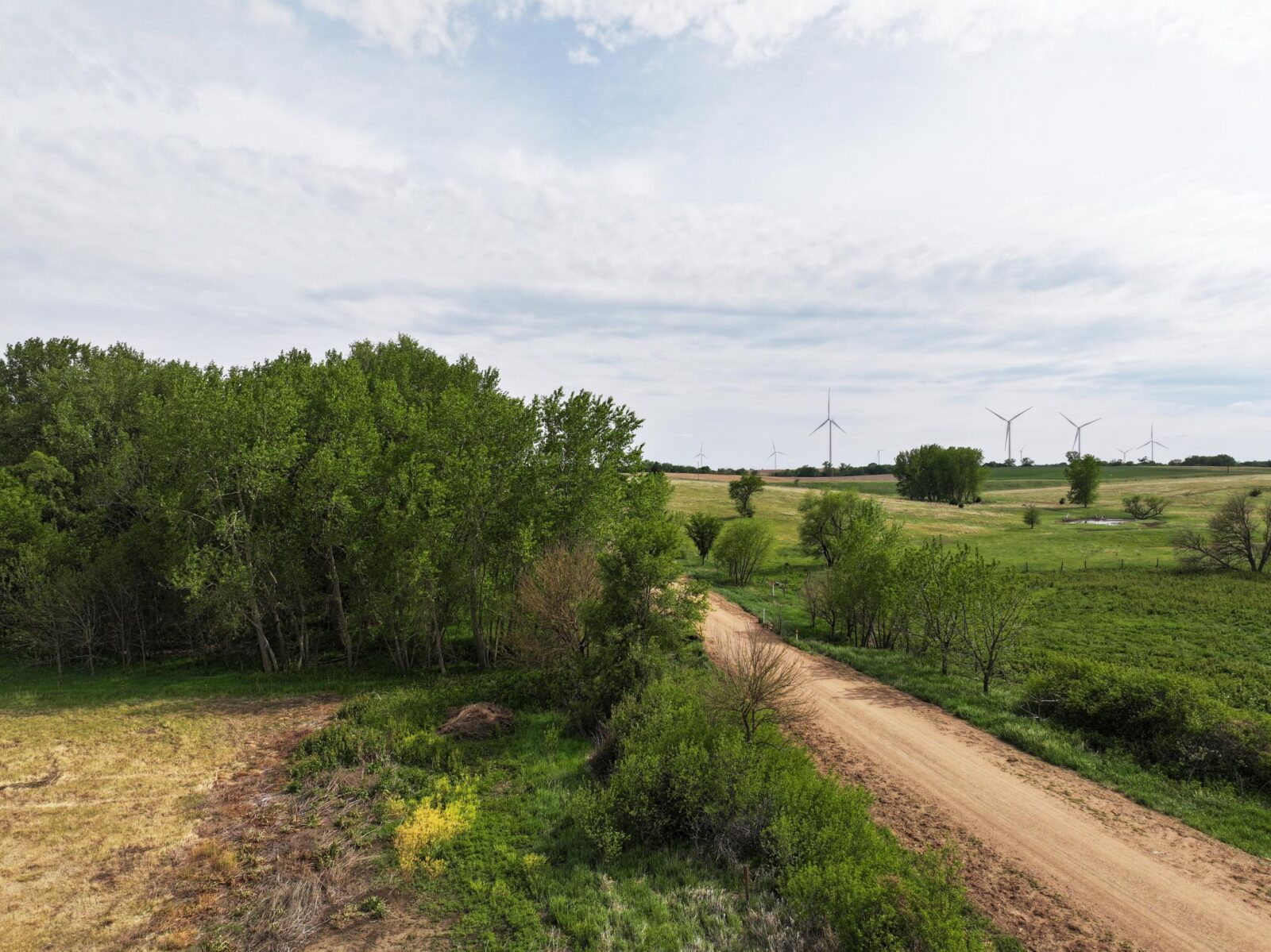 Webster County Nebraska land for sale