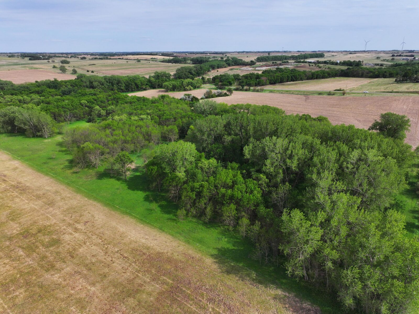 Webster County Nebraska land for sale