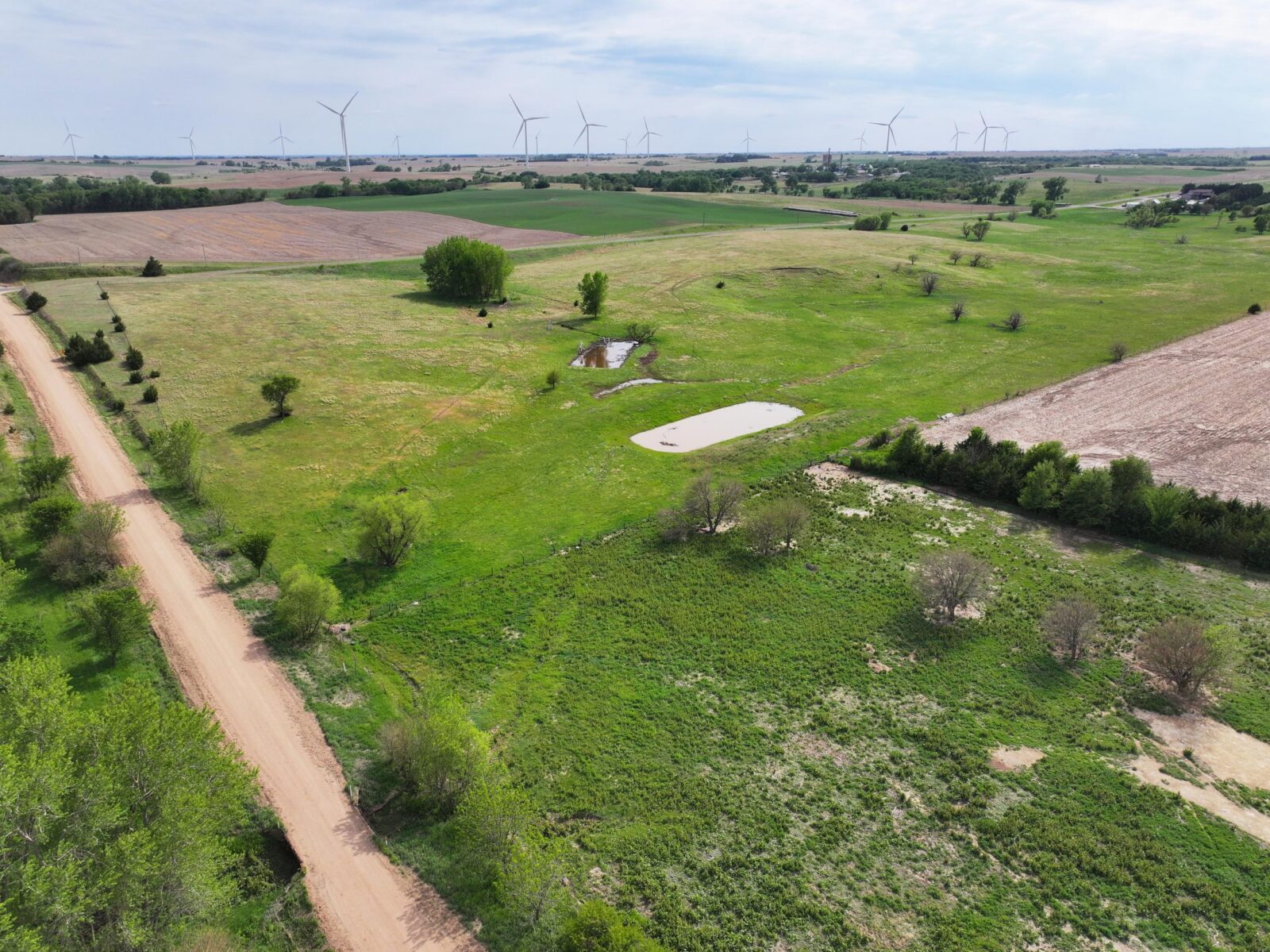 Webster County Nebraska land for sale
