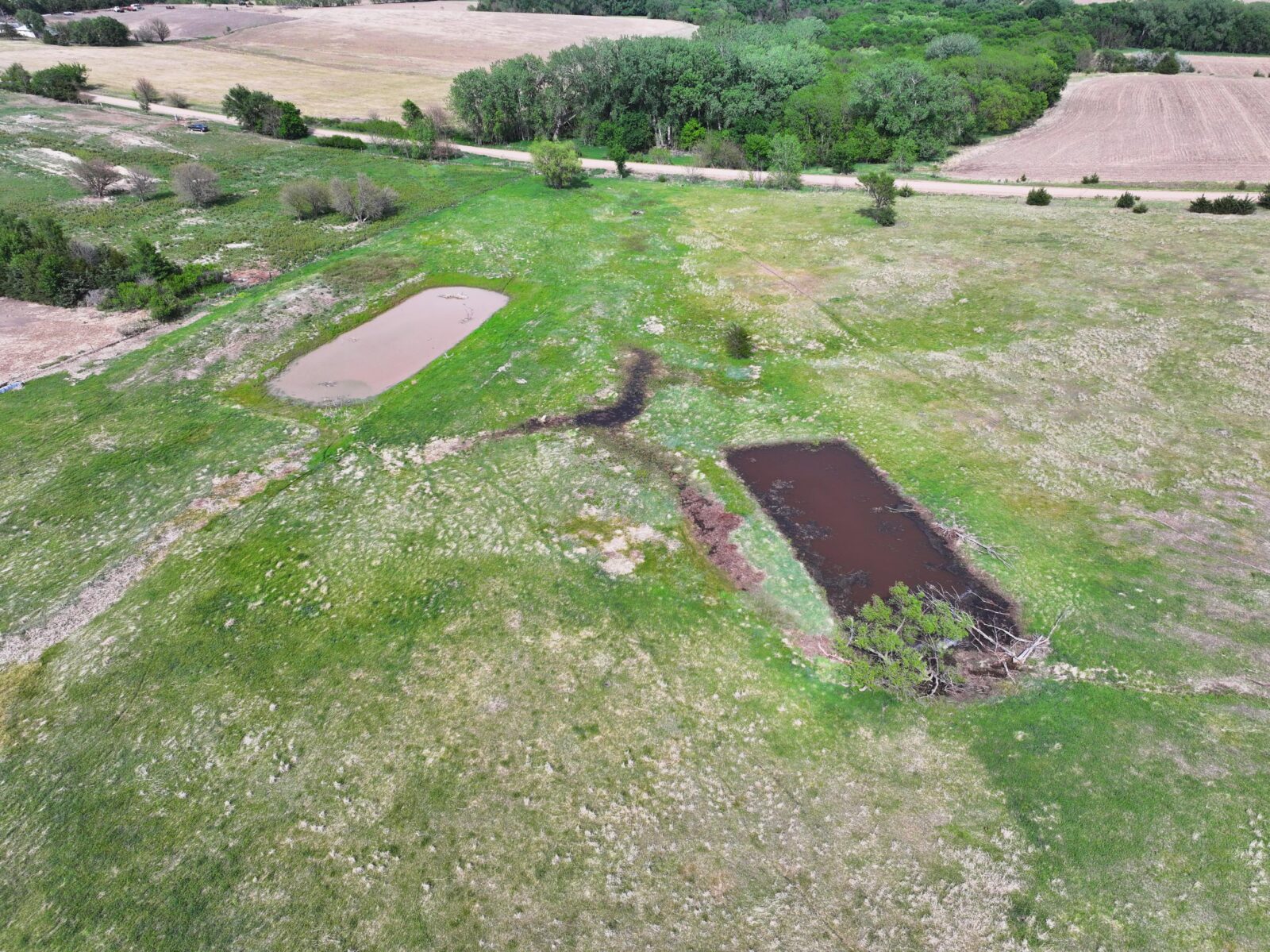 Webster County Nebraska land for sale