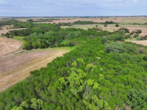 Webster County Nebraska land for sale