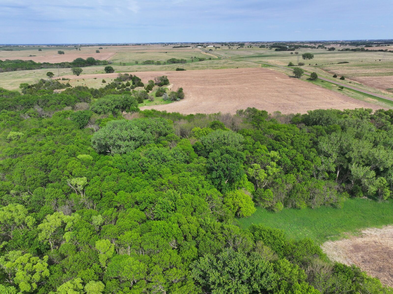 Webster County Nebraska land for sale