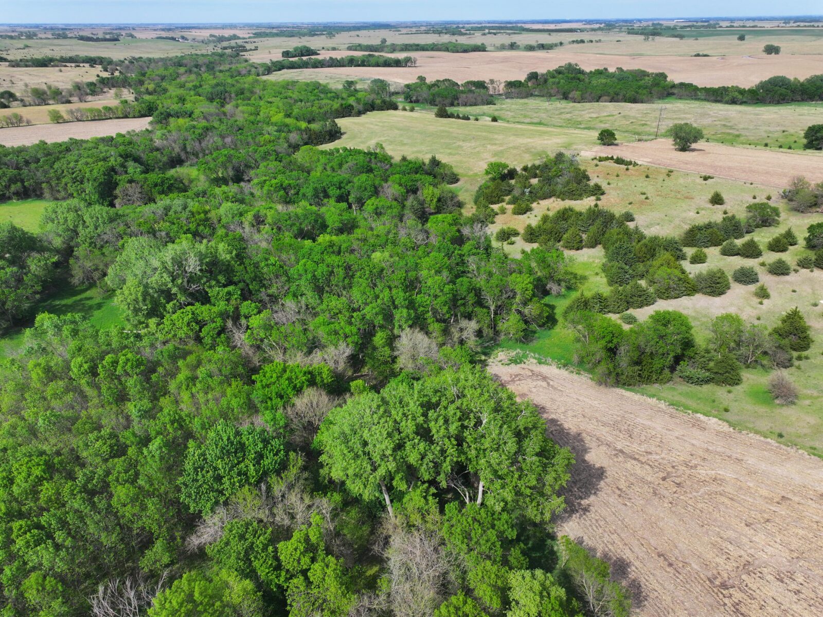 Webster County Nebraska land for sale