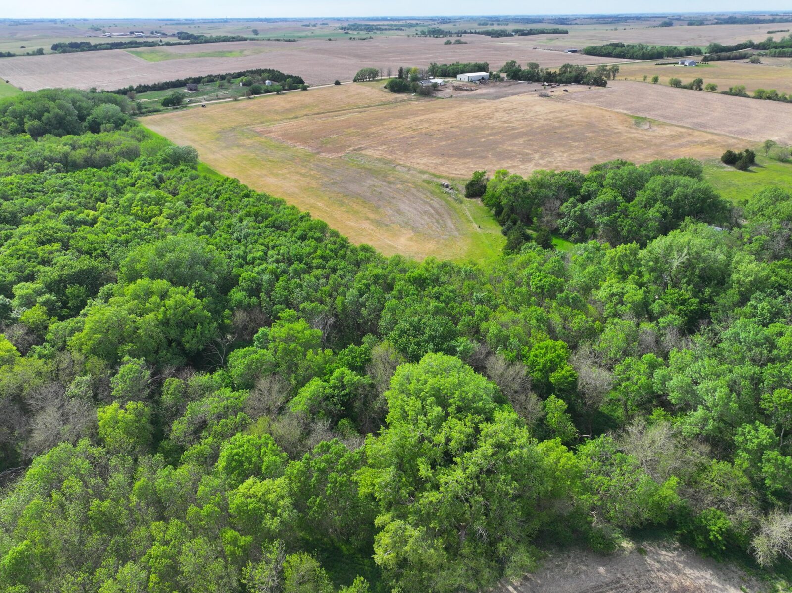 Webster County Nebraska land for sale