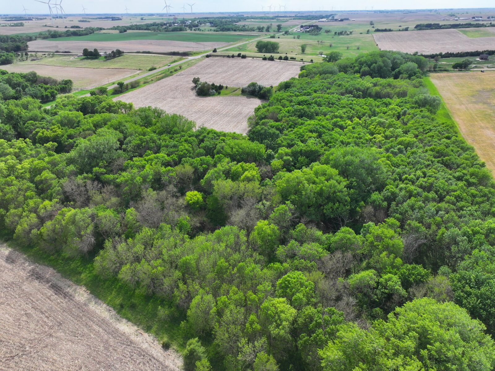 Webster County Nebraska land for sale