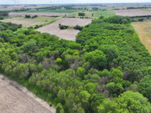 Webster County Nebraska land for sale