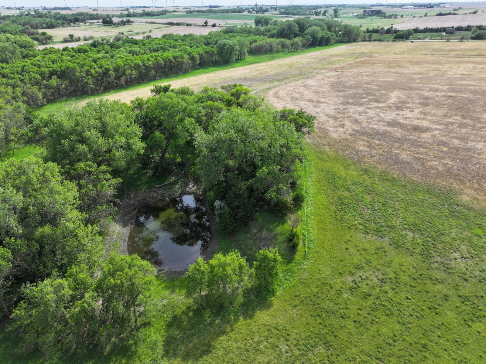Webster County Nebraska land for sale