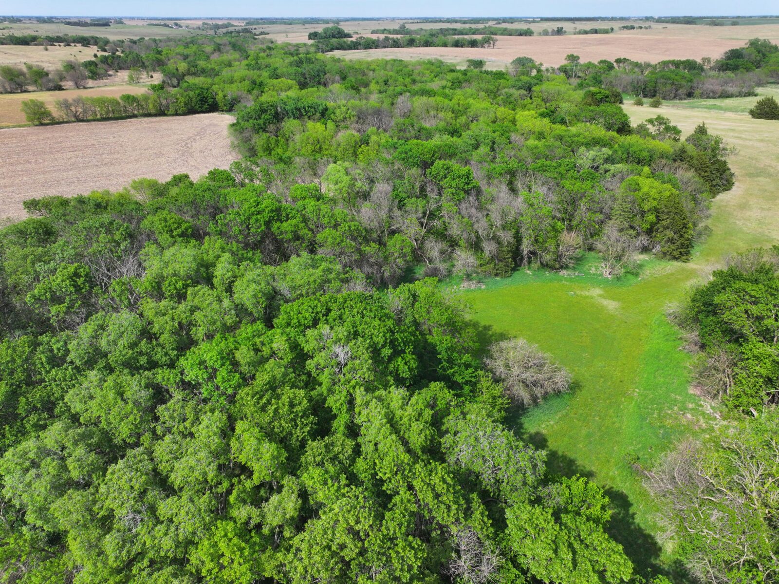 Webster County Nebraska land for sale