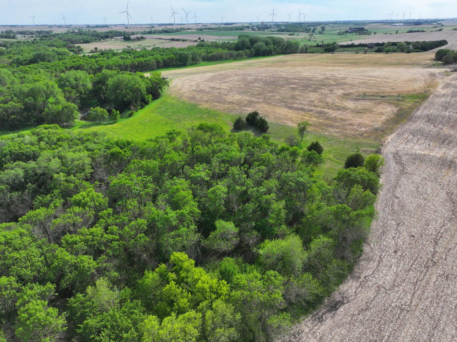 Webster County Nebraska land for sale