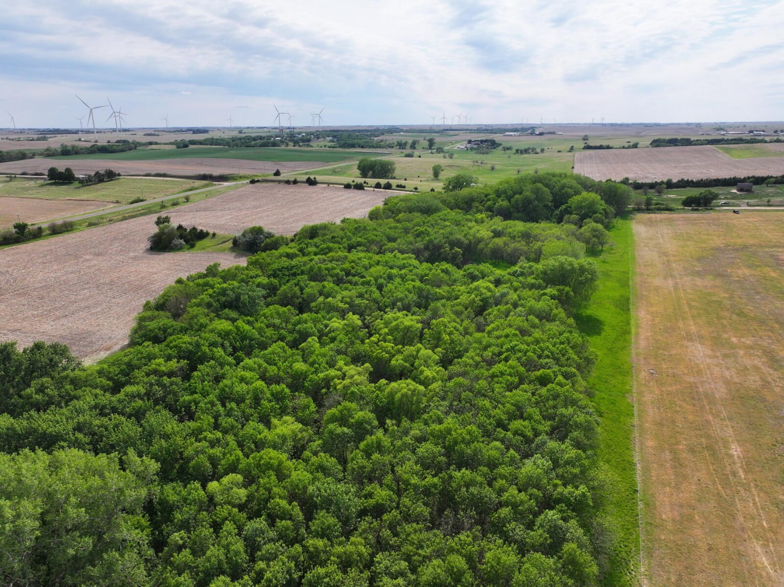 Webster County Nebraska land for sale