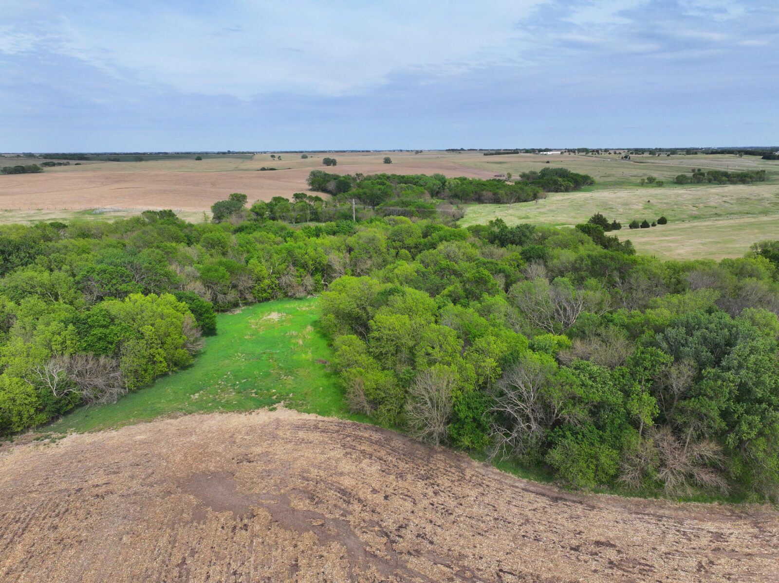 Webster County Nebraska land for sale