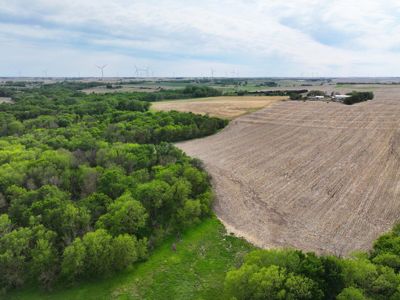 Webster County Nebraska land for sale