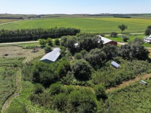 80 Acres, Great Calving Location