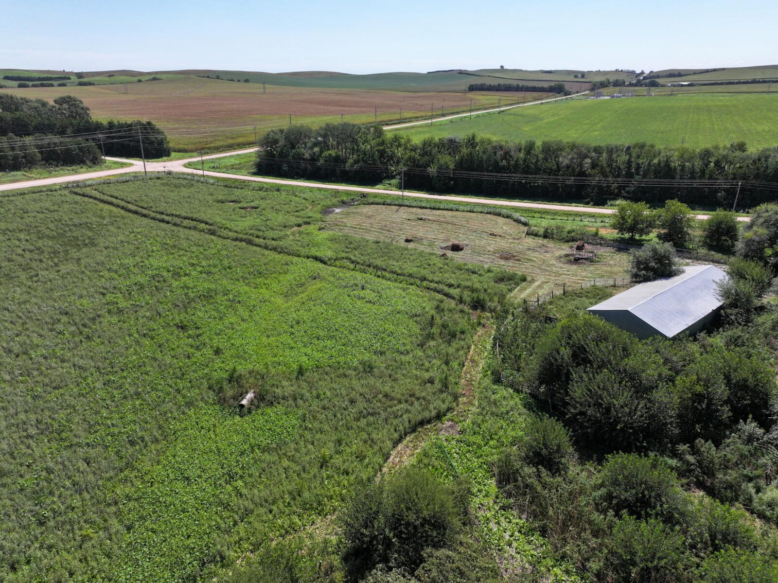 80 Acres, Great Calving Location