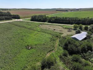80 Acres, Great Calving Location