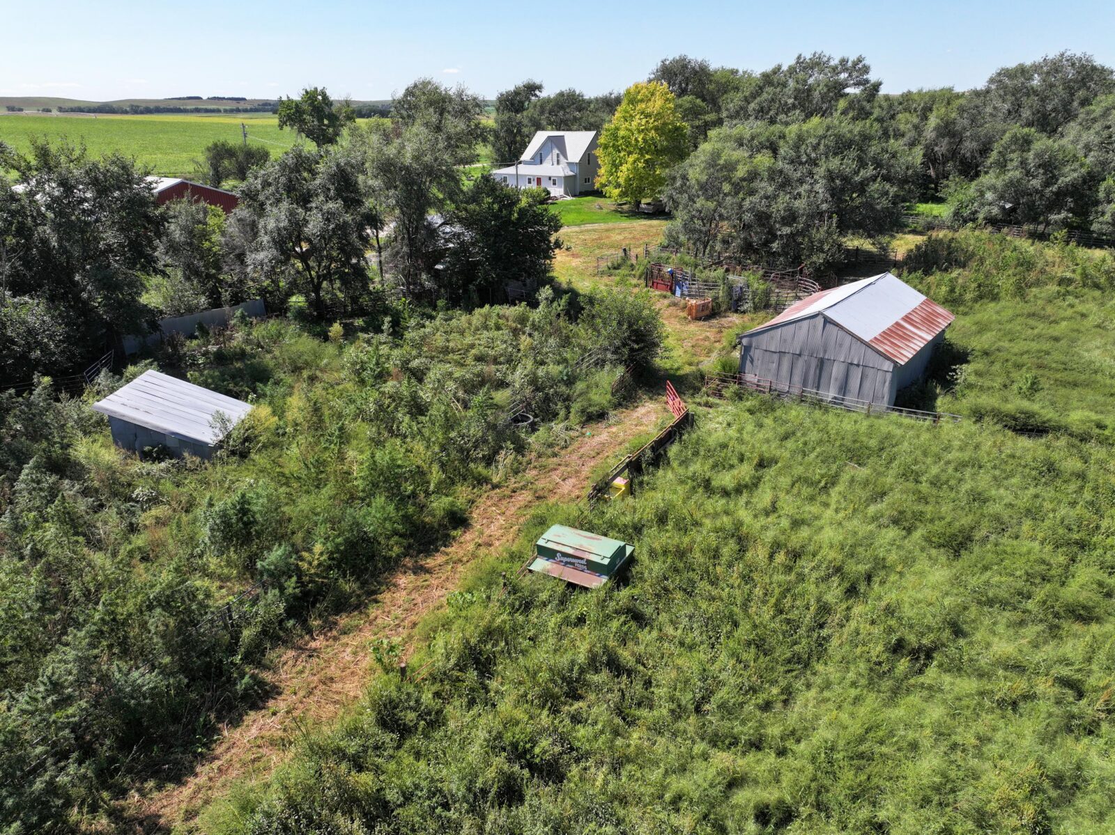 80 Acres, Great Calving Location