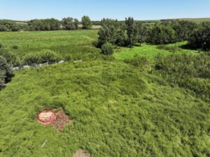80 Acres, Great Calving Location
