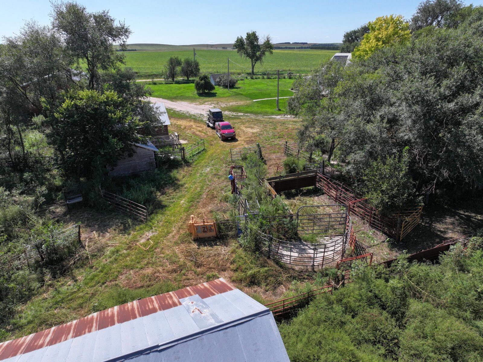 80 Acres, Great Calving Location