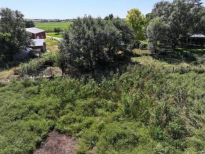 80 Acres, Great Calving Location