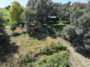 80 Acres, Great Calving Location