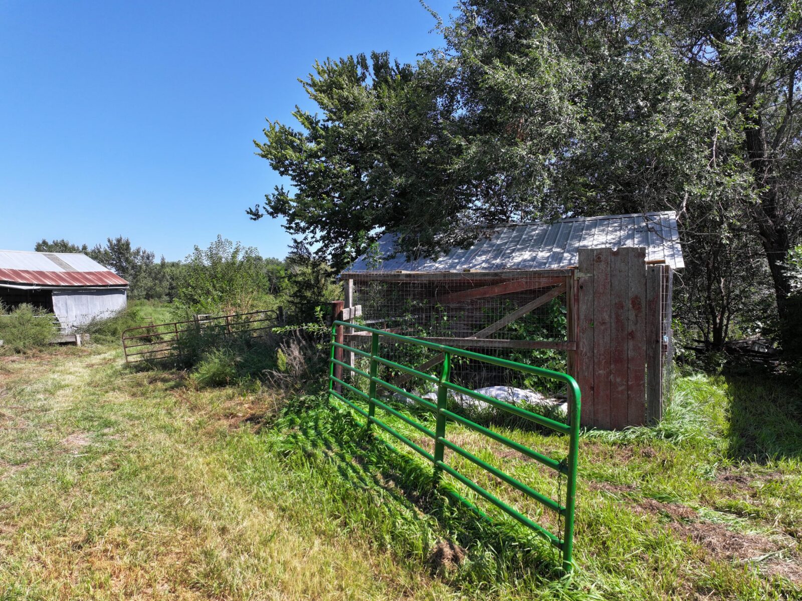 80 Acres, Great Calving Location