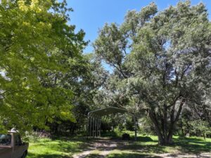 80 Acres, Great Calving Location