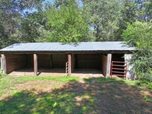 80 Acres, Great Calving Location
