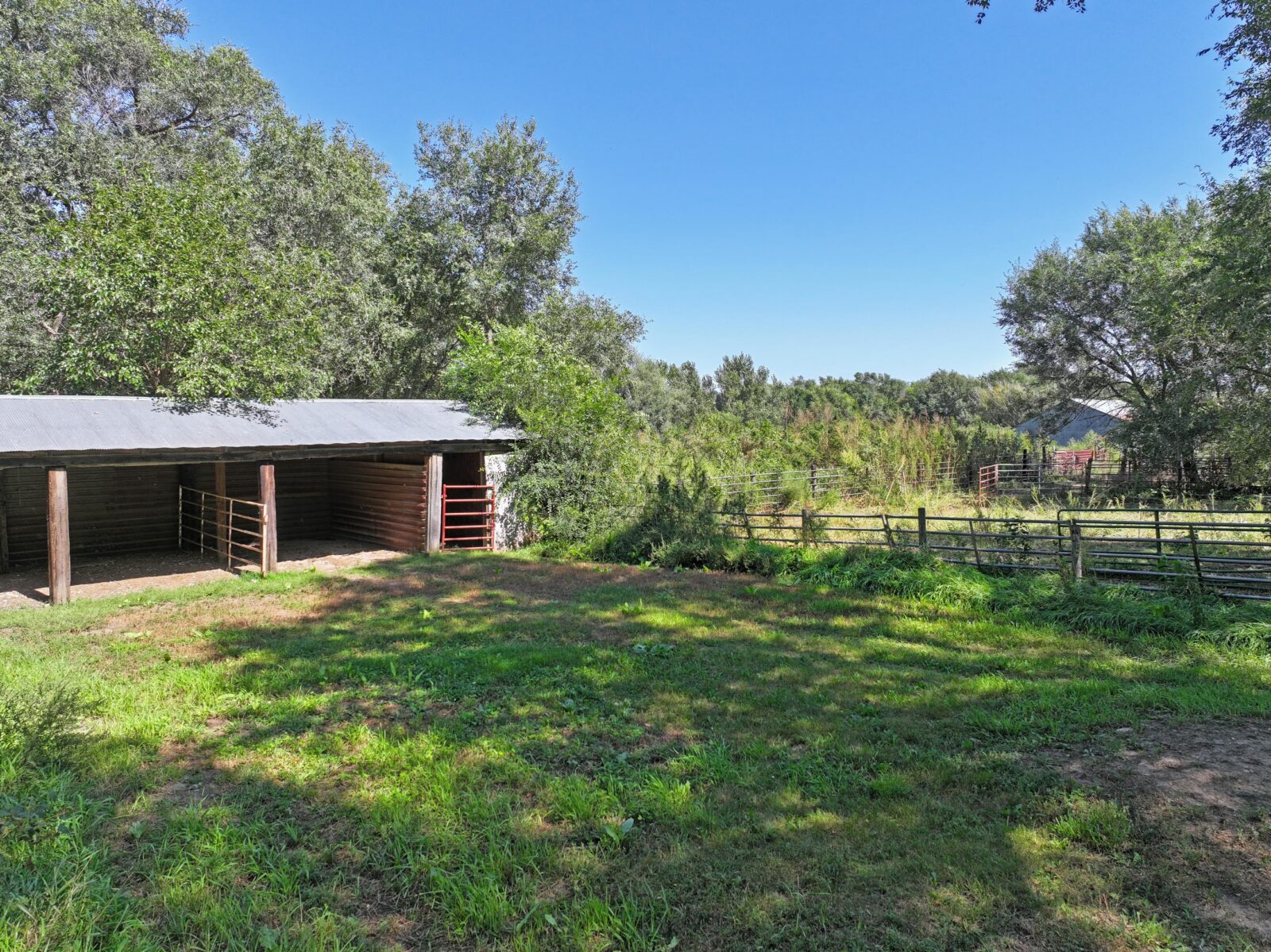 80 Acres, Great Calving Location