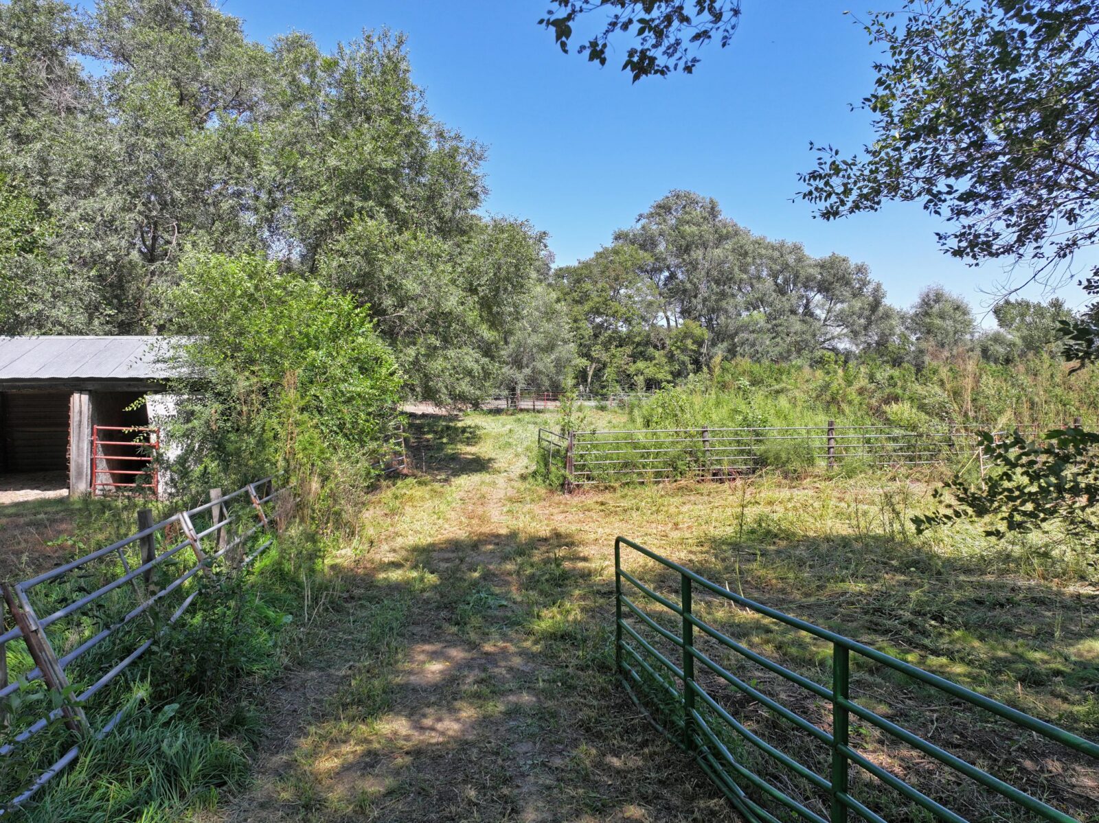 80 Acres, Great Calving Location