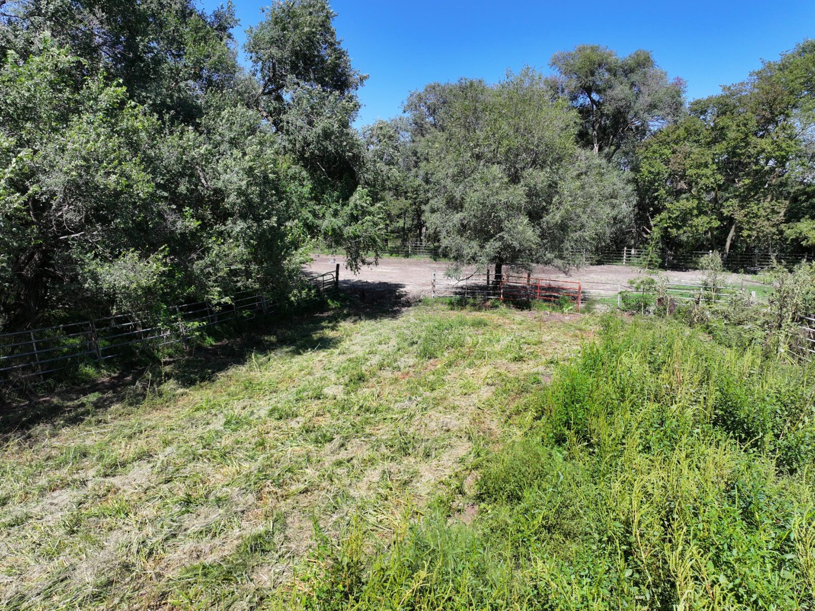 80 Acres, Great Calving Location