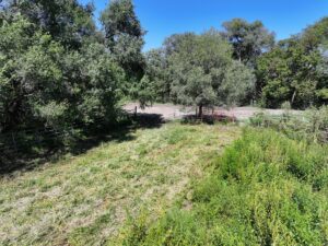 80 Acres, Great Calving Location