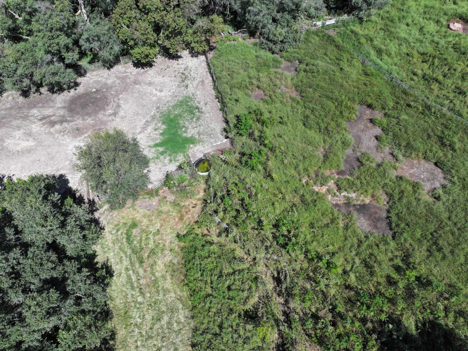 80 Acres, Great Calving Location
