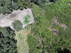 80 Acres, Great Calving Location