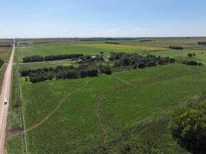 80 Acres, Great Calving Location
