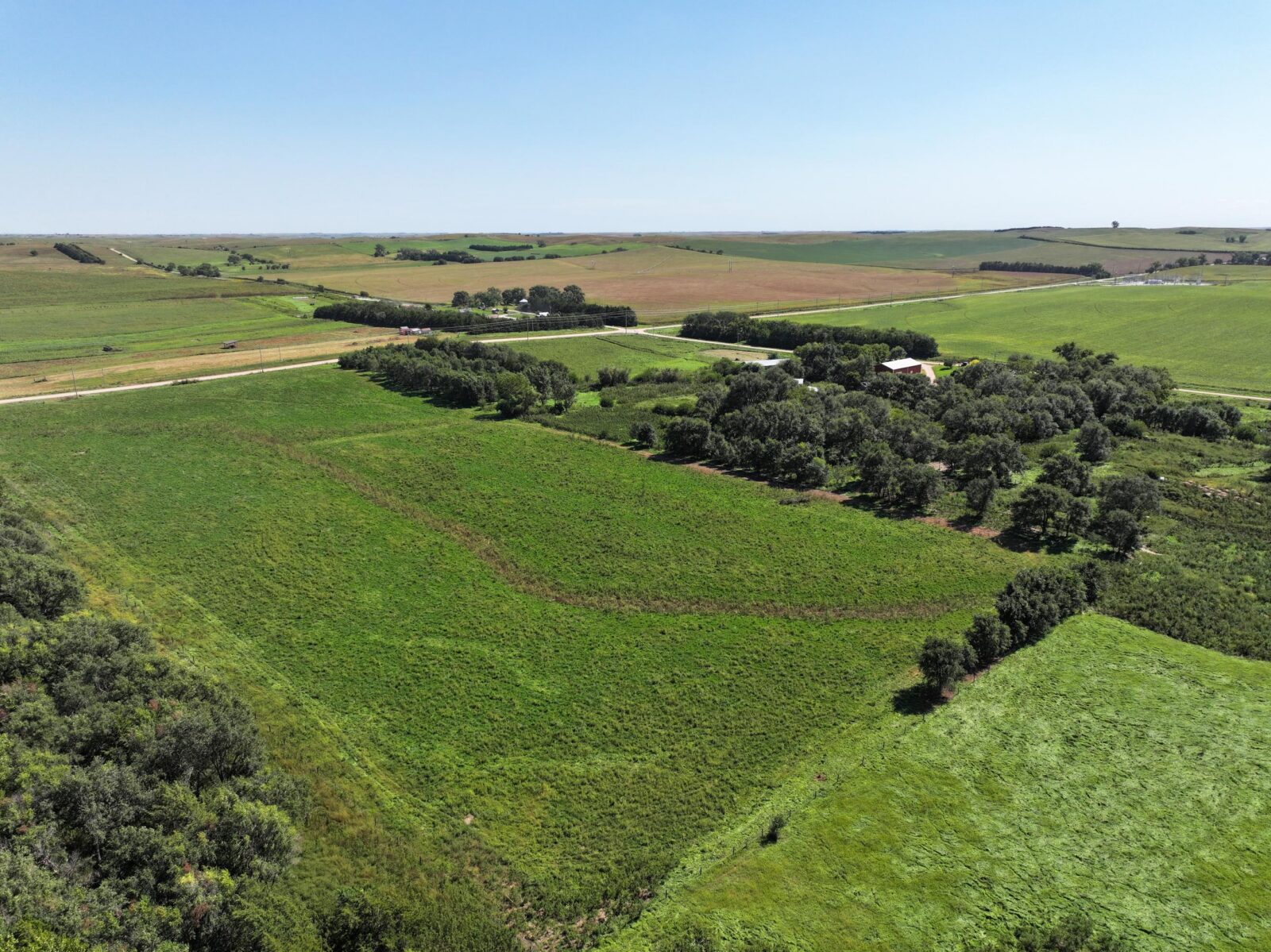 80 Acres, Great Calving Location
