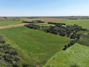80 Acres, Great Calving Location