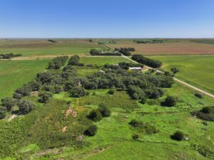 80 Acres, Great Calving Location