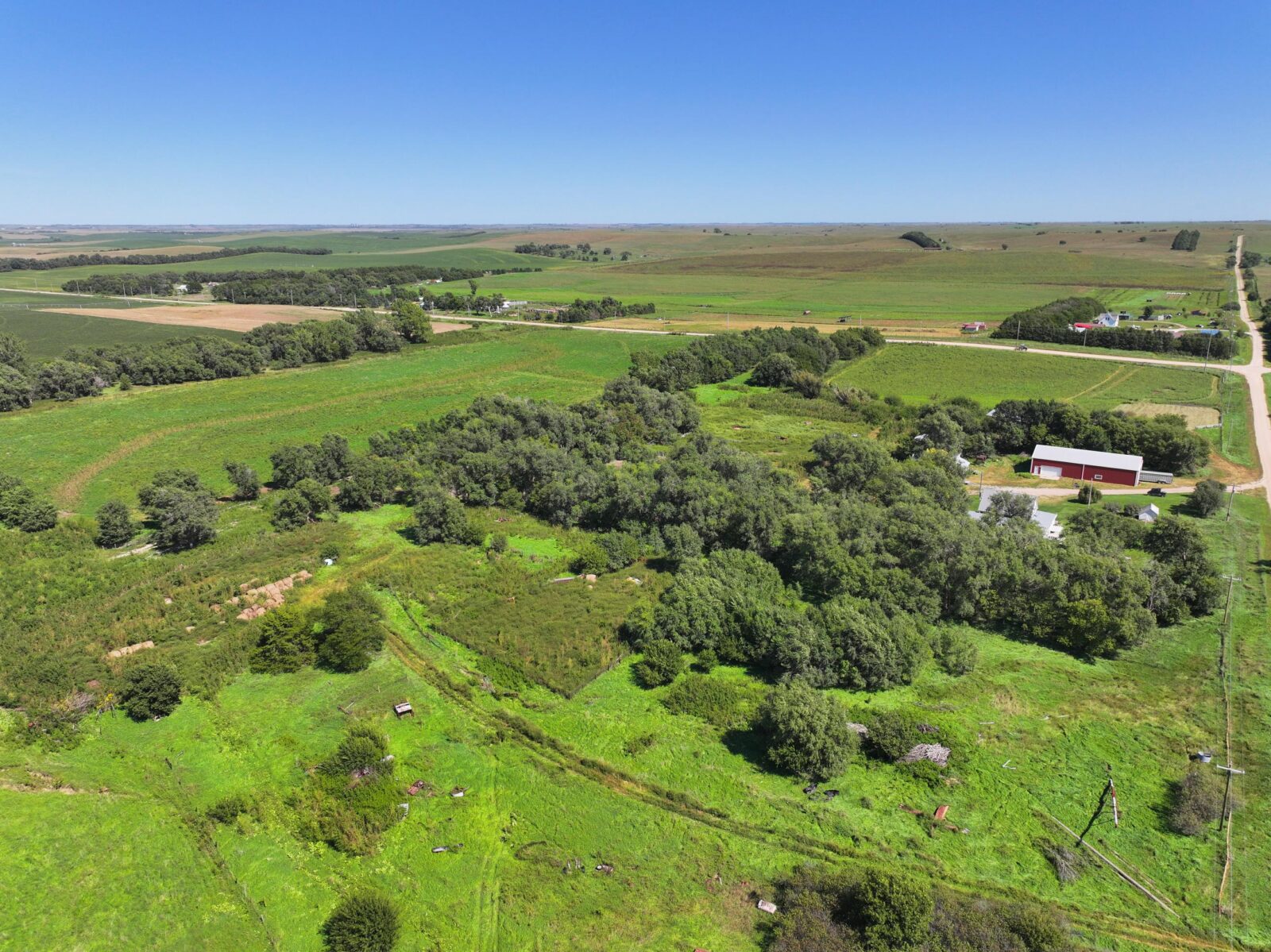 80 Acres, Great Calving Location