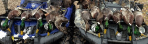 Hunting property for sale Nebraska
