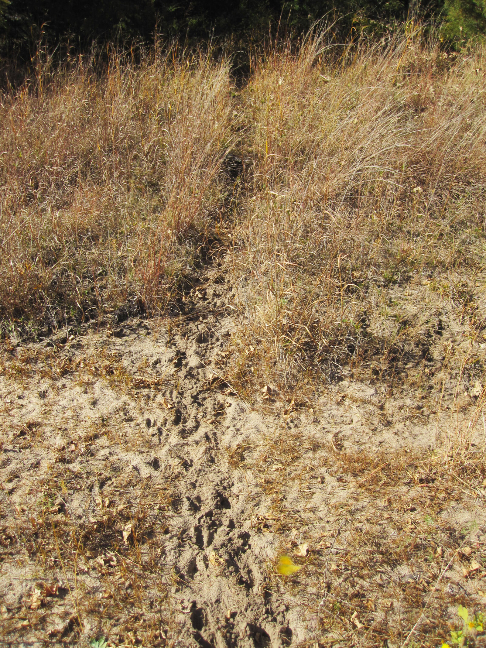 Hunting property for sale Nebraska