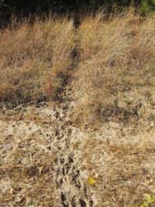 Hunting property for sale Nebraska