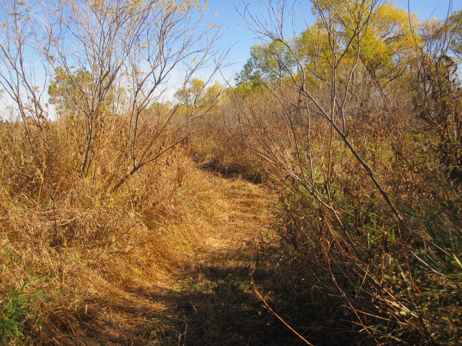 Hunting property for sale Nebraska