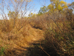 Hunting property for sale Nebraska