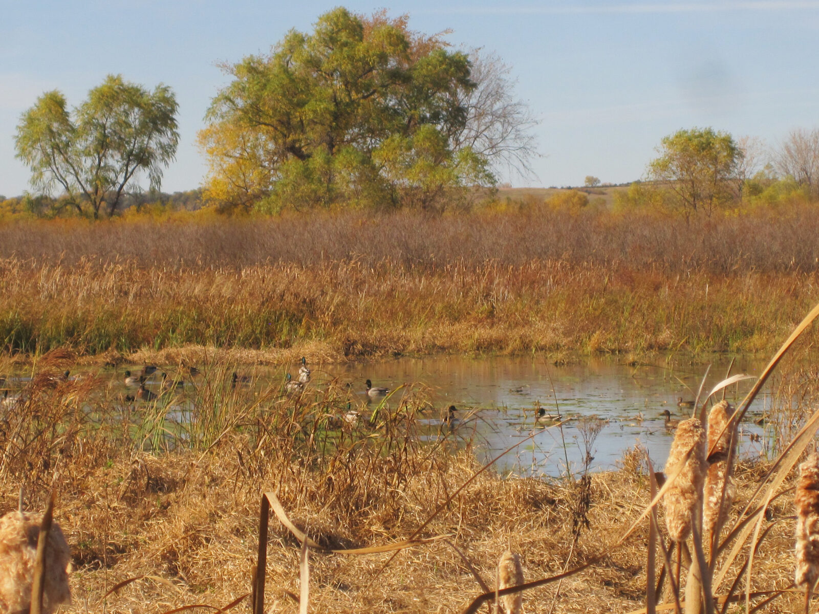 Hunting property for sale Nebraska