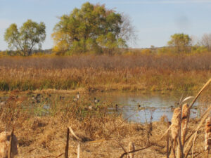 Hunting property for sale Nebraska