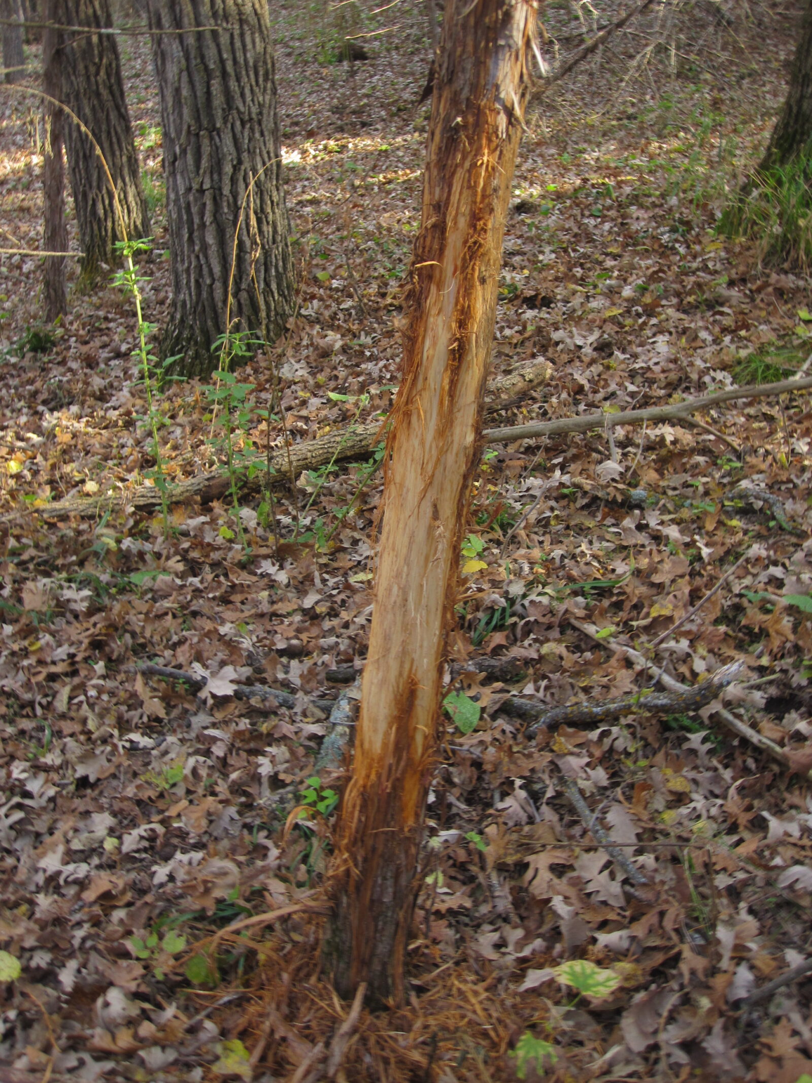 Hunting property for sale Nebraska