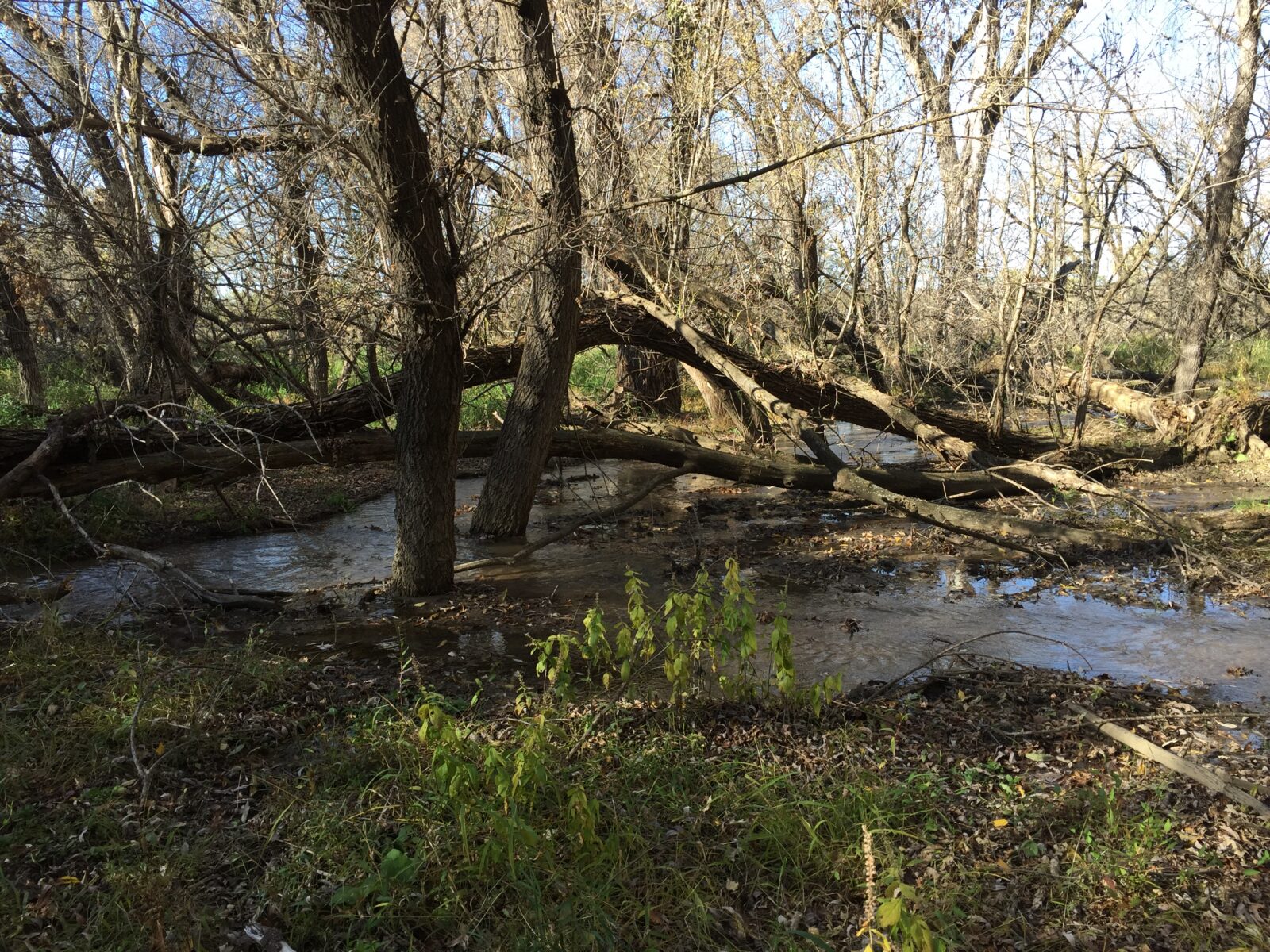 Hunting property for sale Nebraska