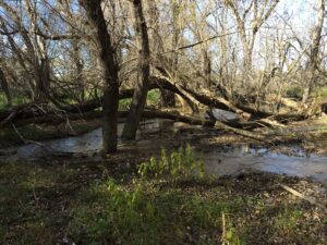 Hunting property for sale Nebraska